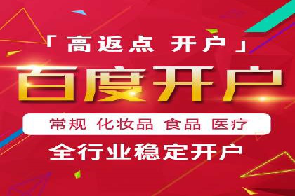 搜索引擎营销（SEM）成功案例详解